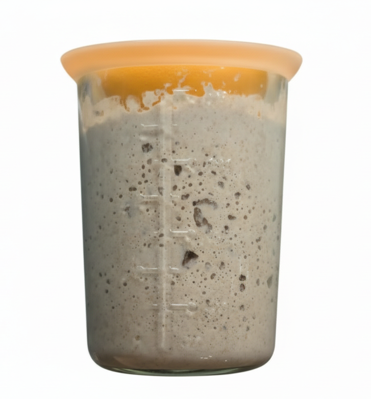 Hydrated sourdough starter