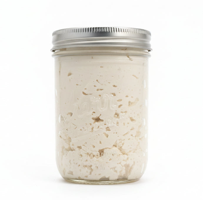 Gluten free sourdough starter